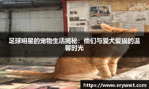 足球明星的宠物生活揭秘：他们与爱犬爱猫的温馨时光